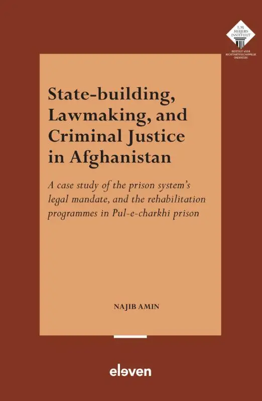 State-Building, Lawmaking, and Criminal Justice in Afghanistan