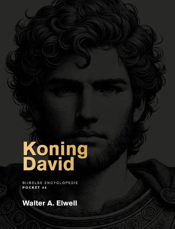 Koning David (4)