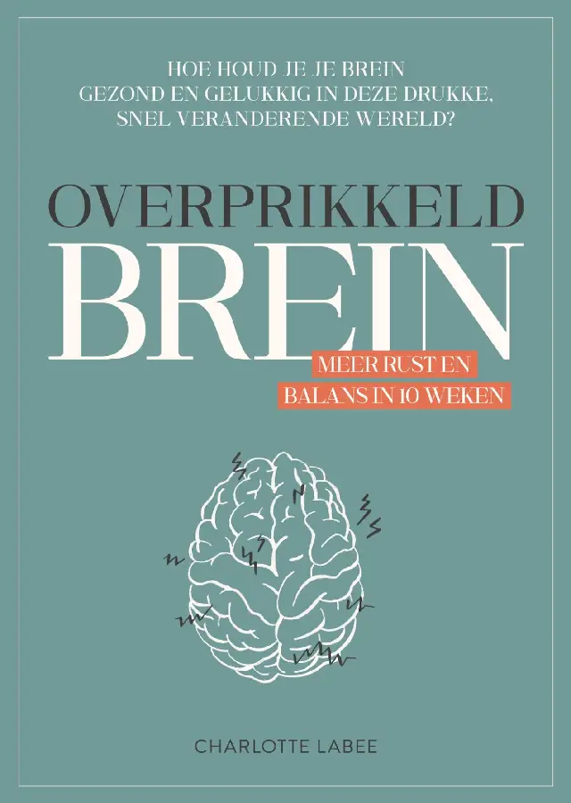 Overprikkeld Brein