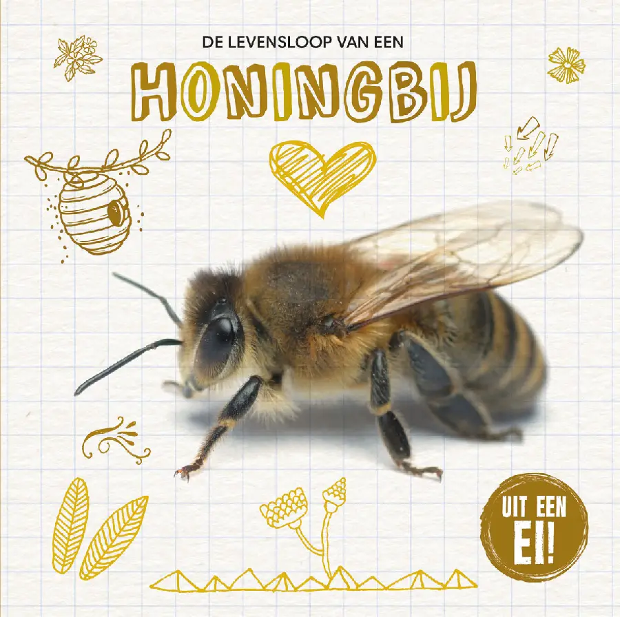 De levensloop van de honingbij