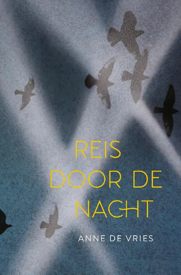 Reis door de nacht - eBoek