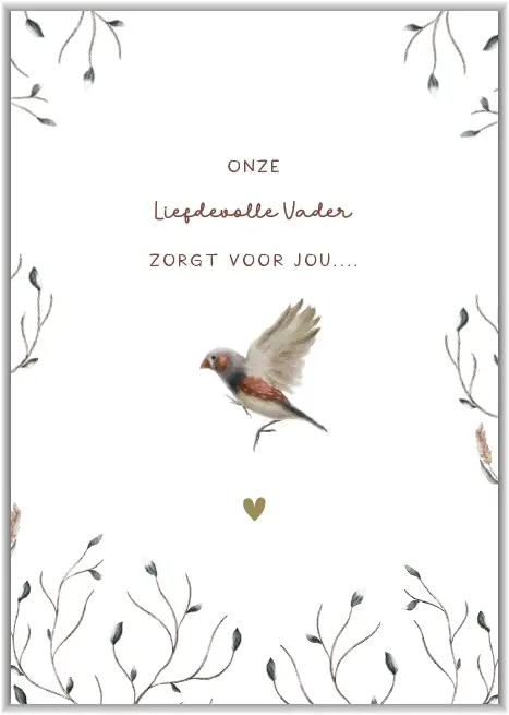 Onze liefdevolle Vader zorgt voor jou