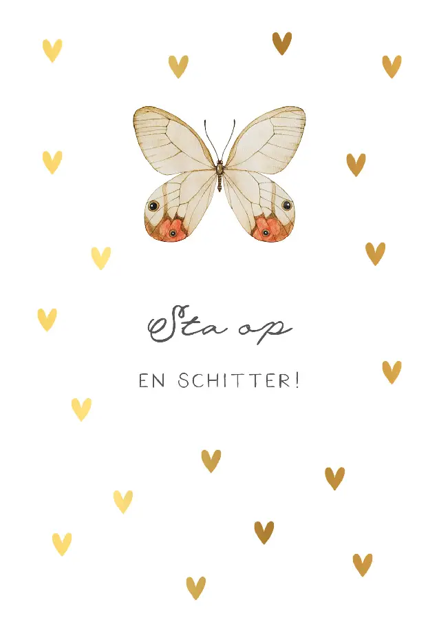 WK Sta op en schitter