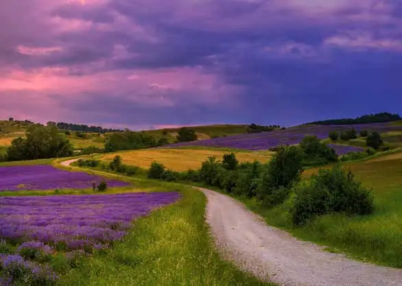PBK Blanco (zonder opdruk)