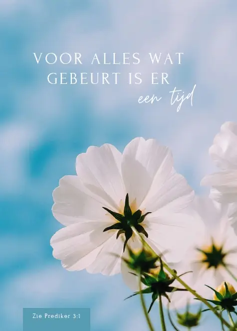 WK Voor alles wat er gebeurt