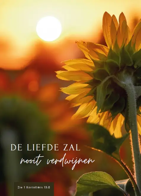 WK De Liefde zal