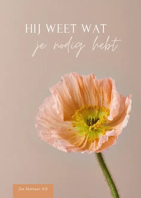 WK Hij weet wat