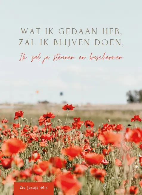WK Wat Ik gedaan heb