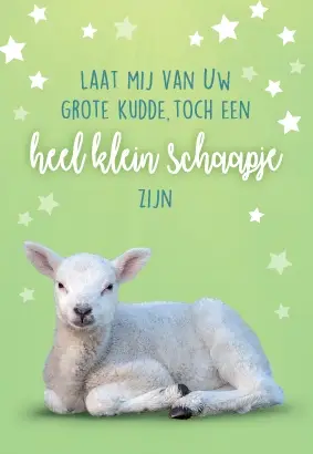 Minicard: Laat mij van Uw grote kudde