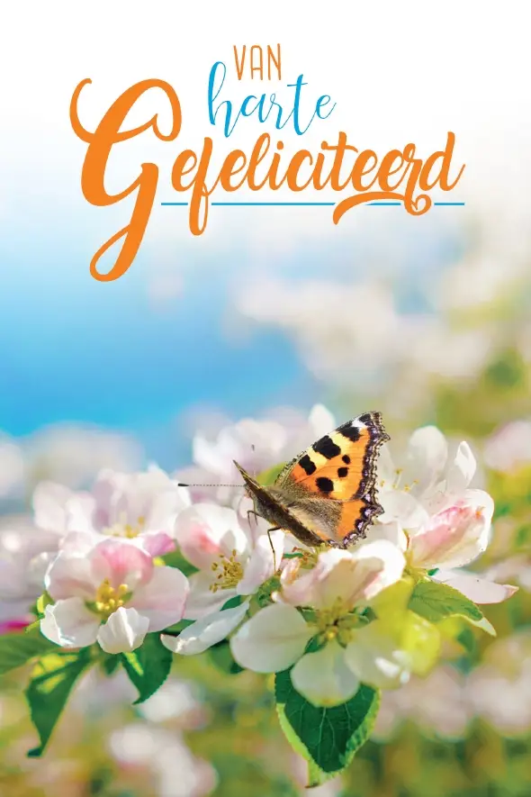 WK Hartelijk Gefeliciteerd