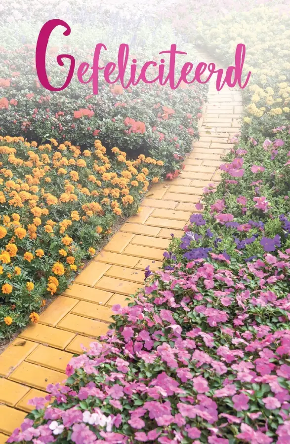 WK Van Harte Gefeliciteerd