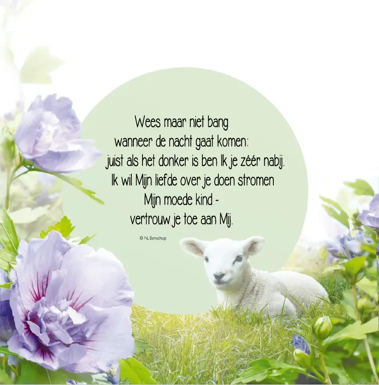 WK Veilig in Zijn armen