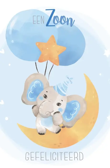 WK Gefeliciteerd met de geboorte Zoon