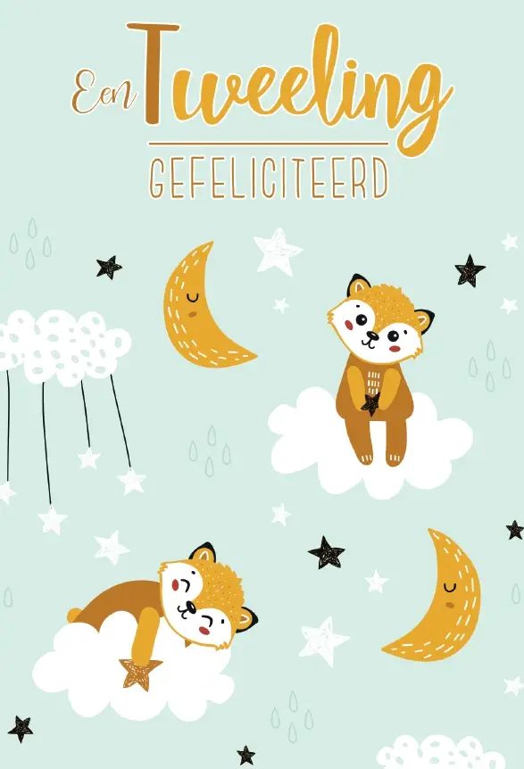 WK Een tweeling! Gefeliciteerd!