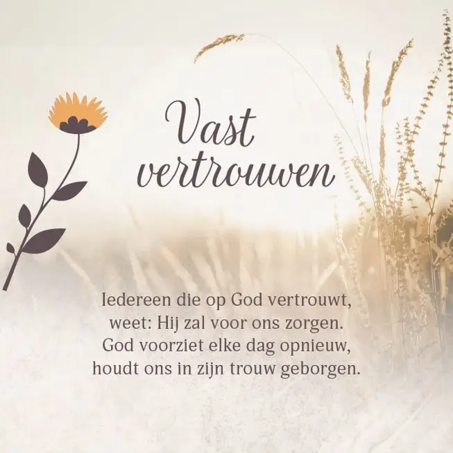 Enkele Kaart Vast Vertrouwen +env