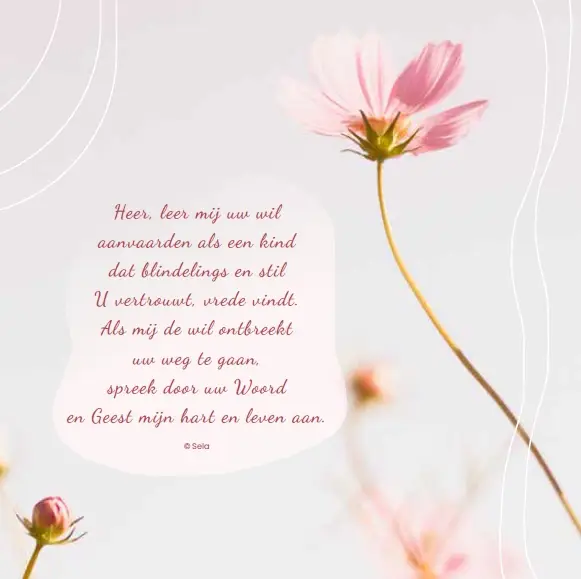 Enkele Kaart Heer, leer mij uw wil+env