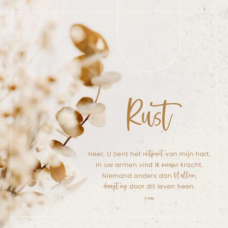 Enkele Kaart Rust+env