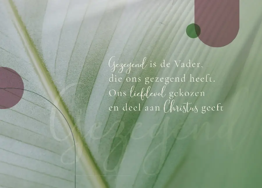 Enkele Kaart God van leven+env