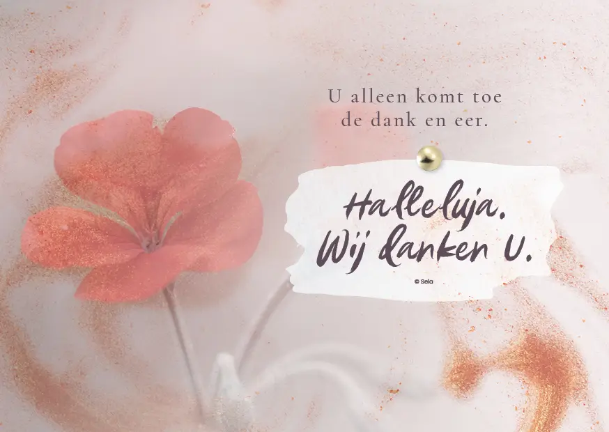 Enkele Kaart Wij danken U+env