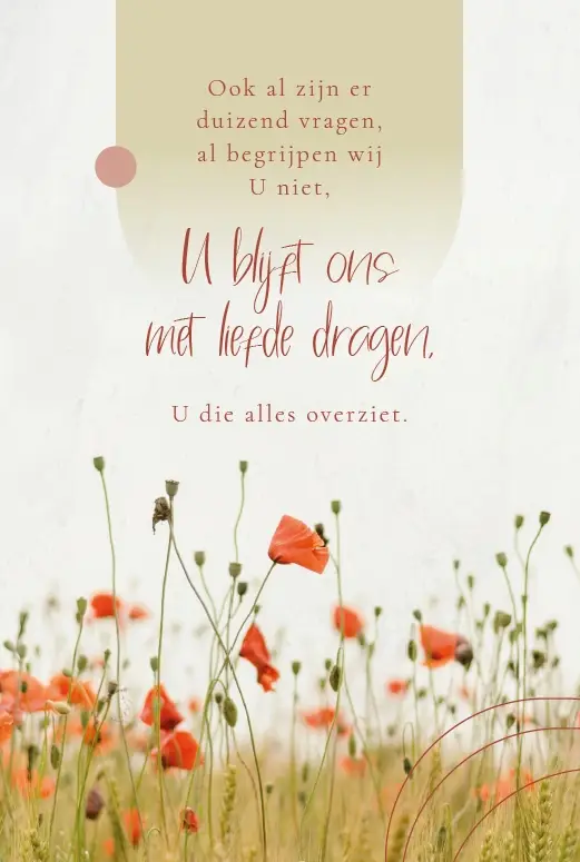 Enkele Kaart Ook al zijn er+env