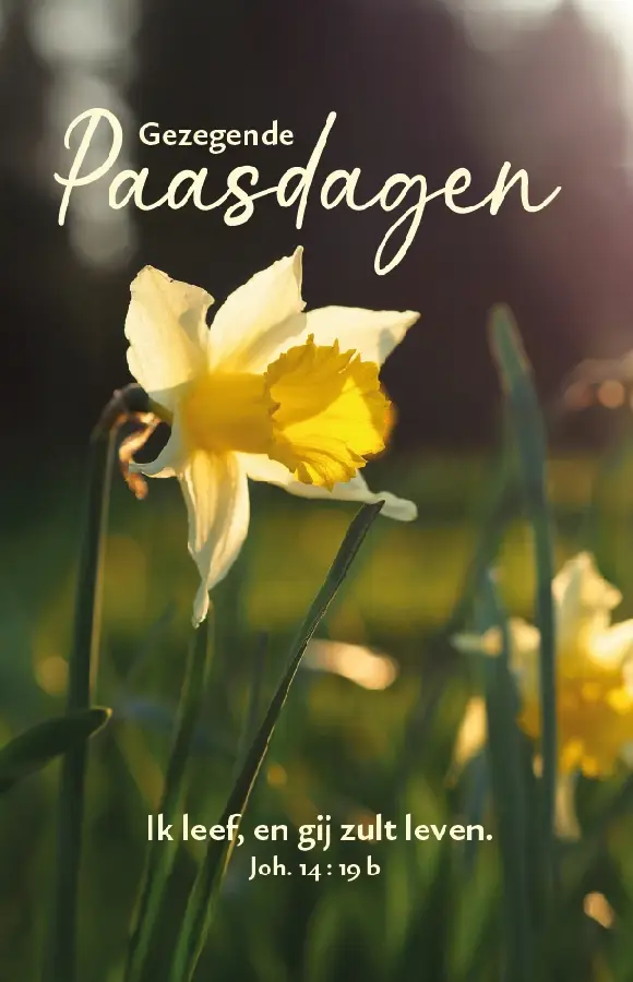 Wenskaart Gezegende Paasdagen