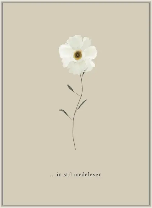 In stil medeleven