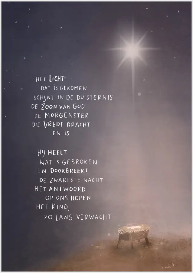 Het licht dat is gekomen