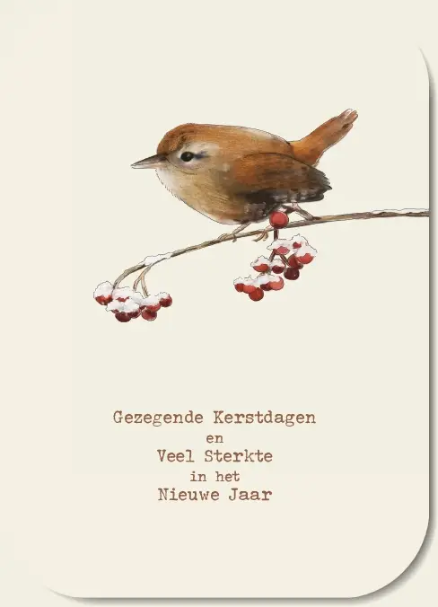 Gezegende kerstdagen en veel sterkte