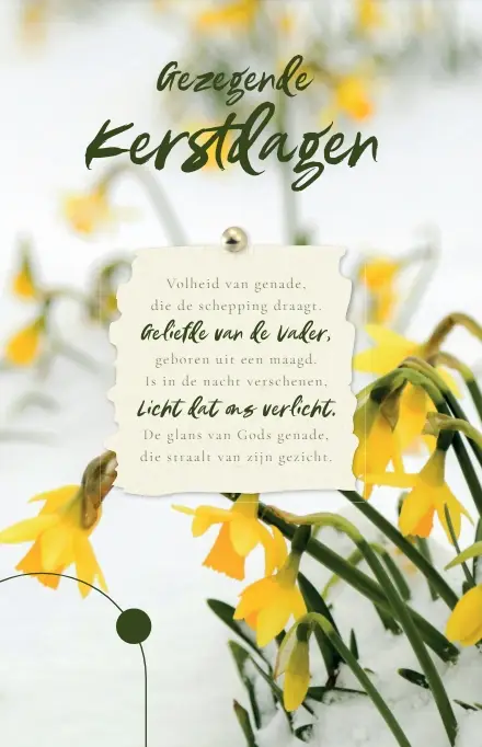 Wenskaart Gezegende Kerstdagen + Sela