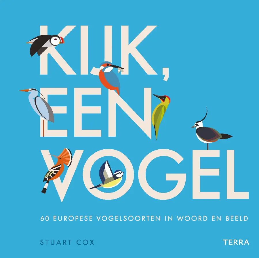 Kijk, een vogel