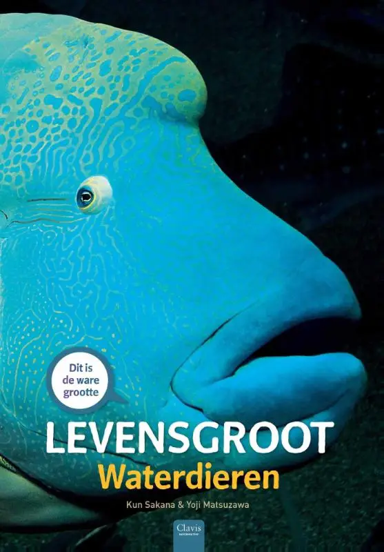 Levensgroot waterdieren / Waterdieren