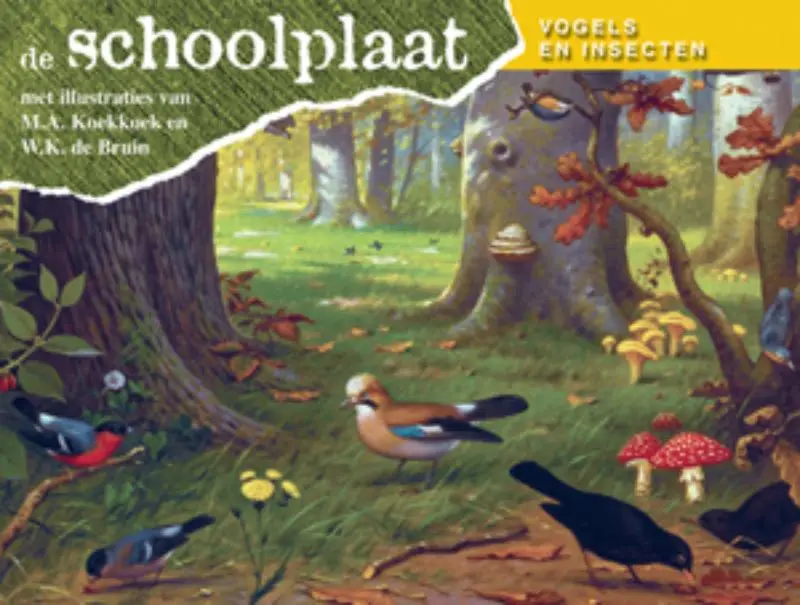 De Schoolplaat / Vogels en Insecten