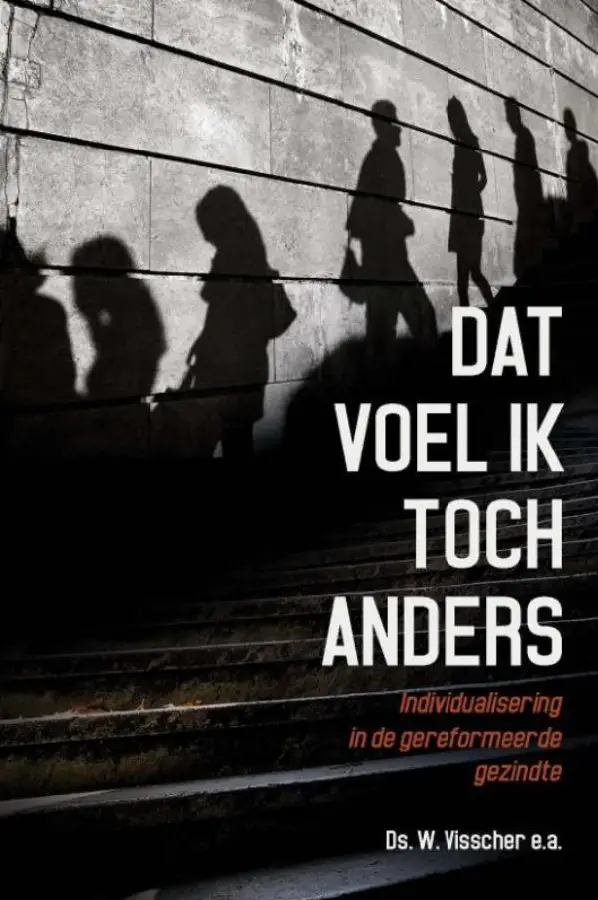 Dat voel ik toch anders - eBoek