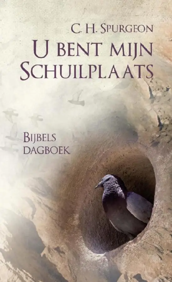 U bent mijn schuilplaats - eBoek