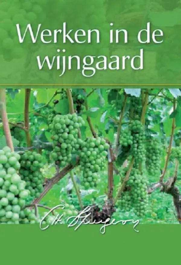 Werken in de wijngaard - eBoek