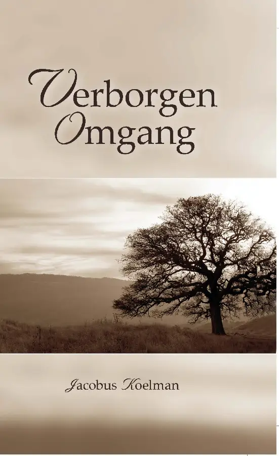 Verborgen omgang - eBoek