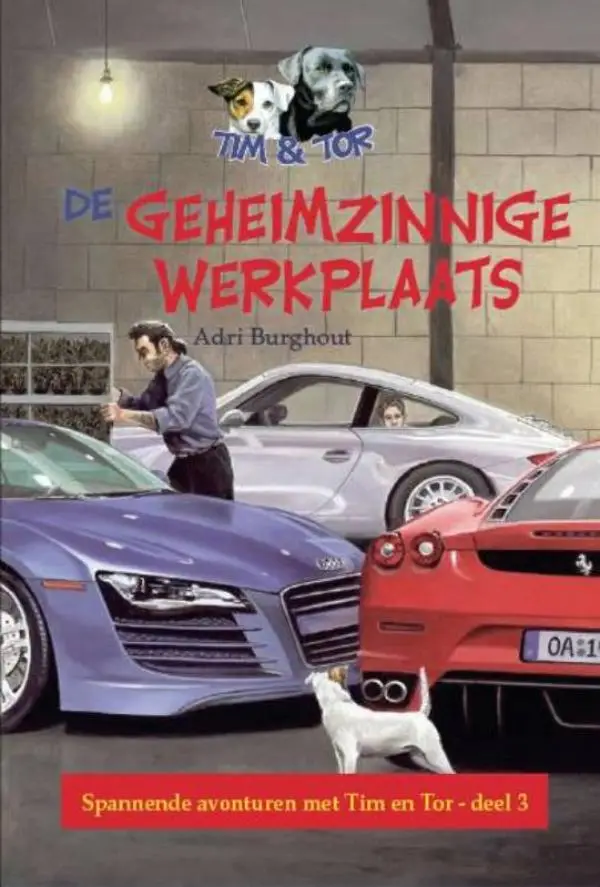 De geheimzinnige werkplaats (3) - eBoek