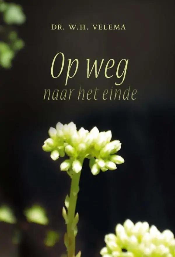 Op weg naar het einde - eBoek