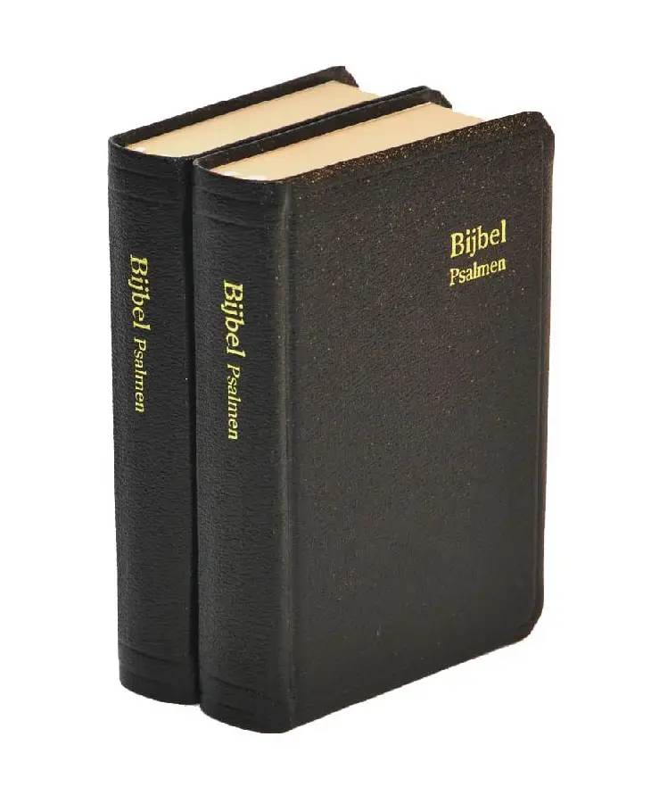 Herenzakbijbel H31d Datheen k.leer klsne