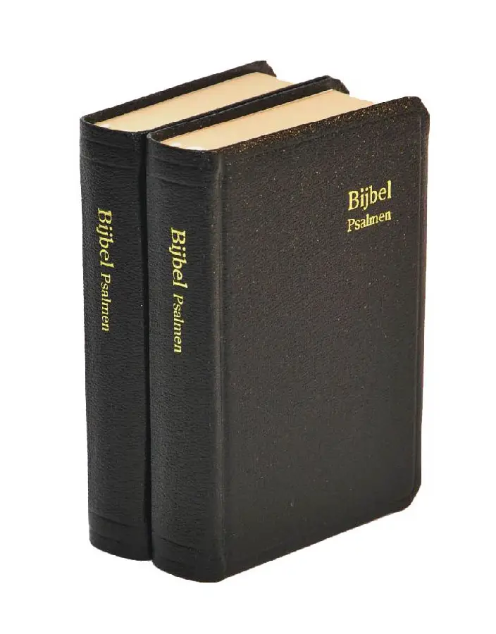 Herenzakbijbel H31R RITMISCH kunstleer