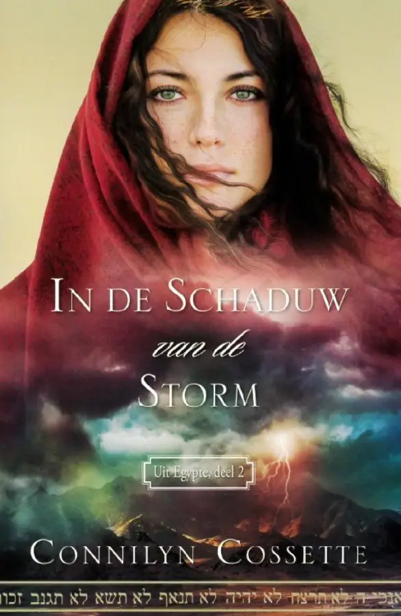 In de schaduw van de storm - eBoek