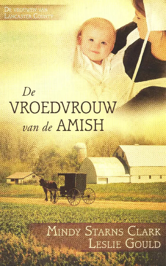 De vroedvrouw van de Amish - eBoek