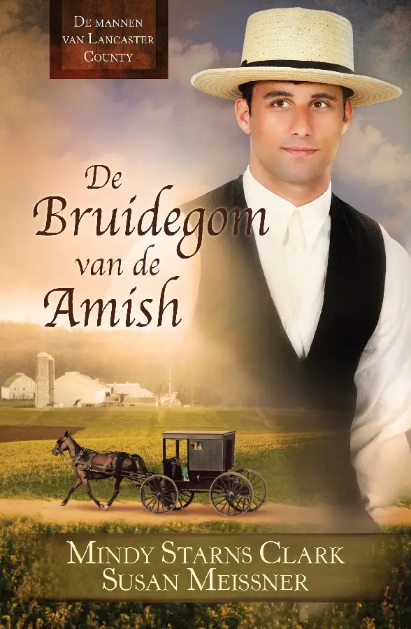De bruidegom van de Amish - eBoek