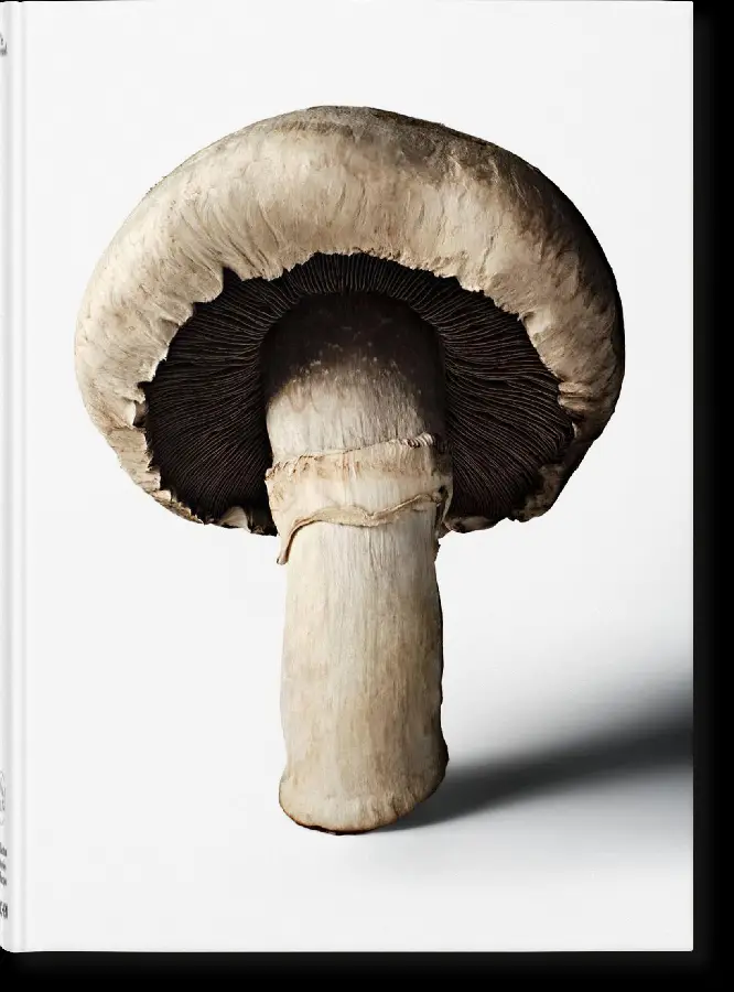 The Gourmand's Mushroom