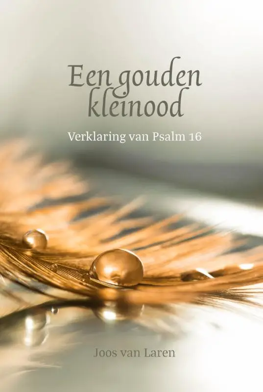 Een gouden kleinood