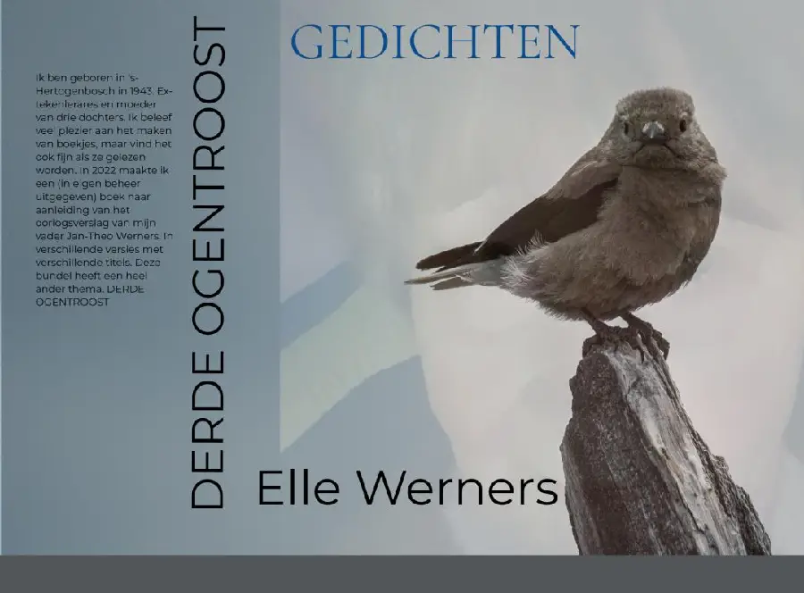 DERDE OGENTROOST