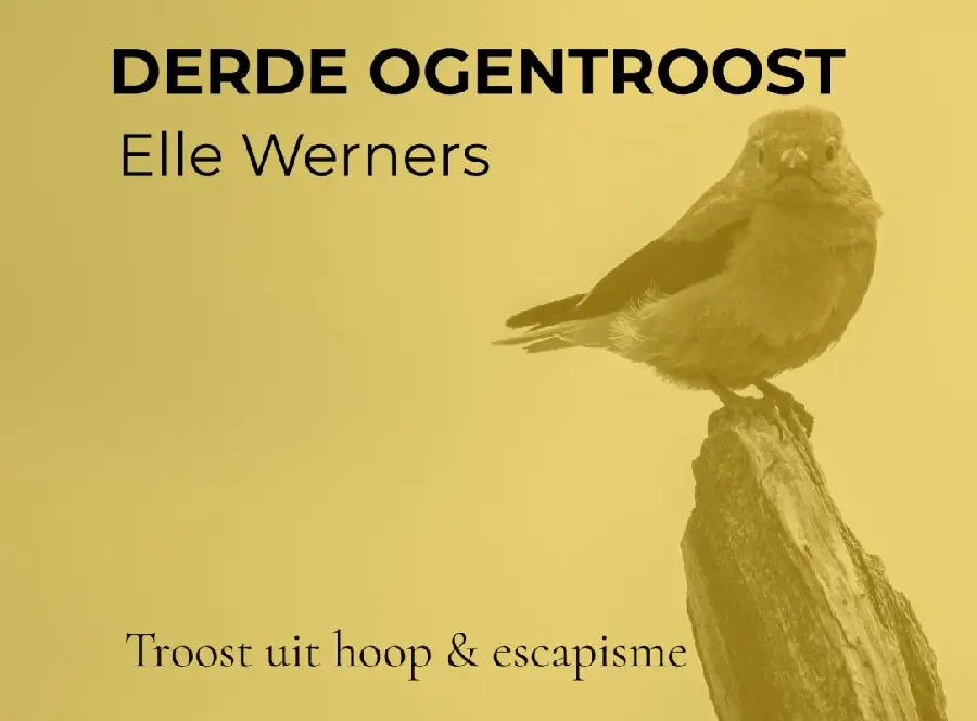 DERDE OGENTROOST