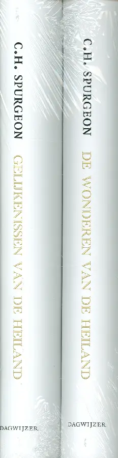 Set gelijkenissen van de Heiland + wonderen van de Heiland