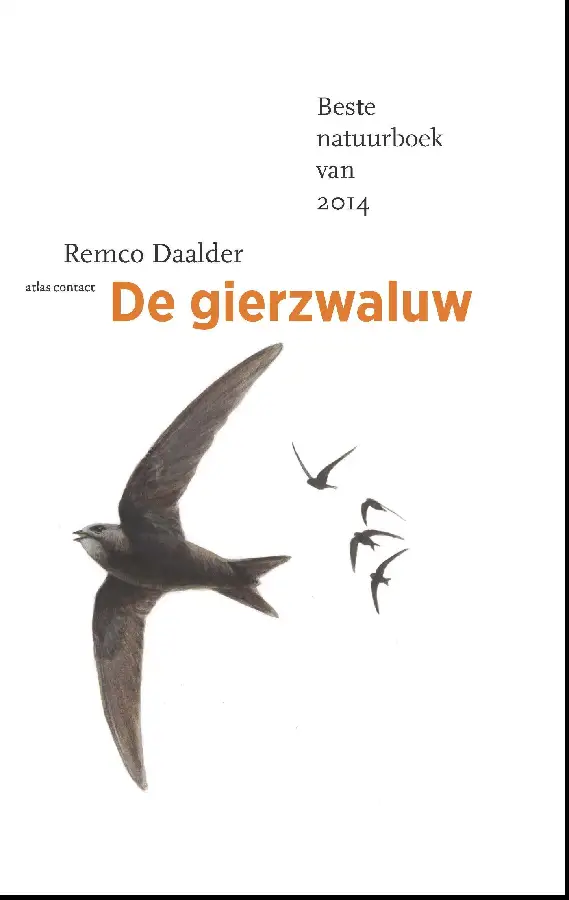De gierzwaluw