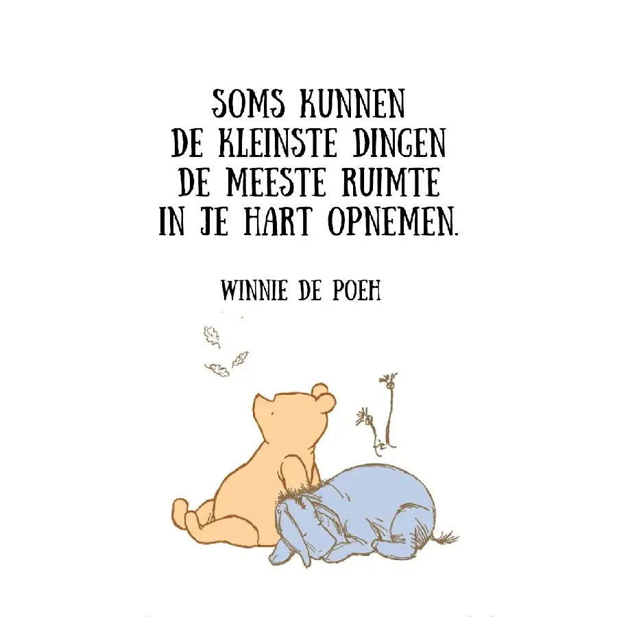Tegel Soms kunnen de kleinste dingen